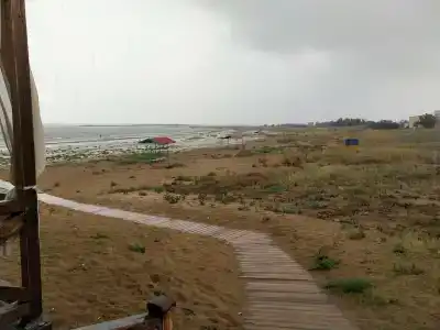 турбаза Прибой - 79