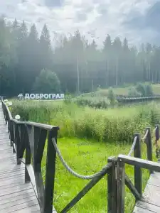 Dobrograd (korpus Village) Glamping - 68