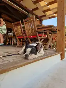 Ölüdeniz Blu Luxury Unique - Adults-Only - 26