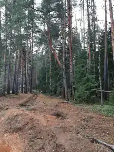 Glintwood Recreation Center - 15