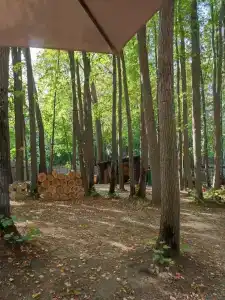 Baza Otdykha Monte-Karlo - 13