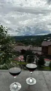 Tsaghkadzor Marriott - 53
