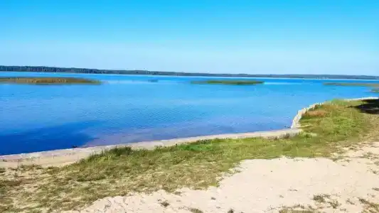 Detskiy Sanatoriy "Rosinka" - 30