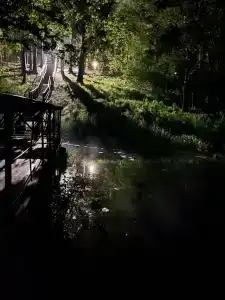 Recreation center Lesnye dali - 1