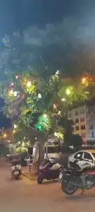 Kleopatra Beach - All Inclusive - 45