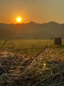 ZaGrad Tourist base - 16