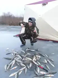 Rybolovno-ohotnichya turbaza Zavolzhe - 28