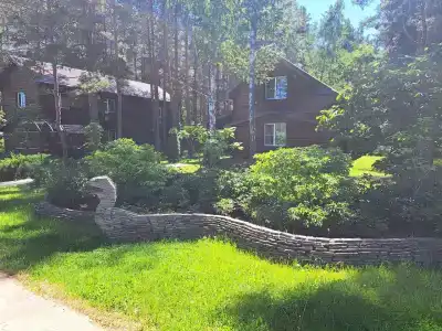 Lesnaya skazka - 24