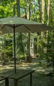 Baza Otdykha Monte-Karlo - 61