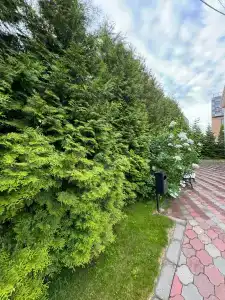 13 Chairs Guest house - 48