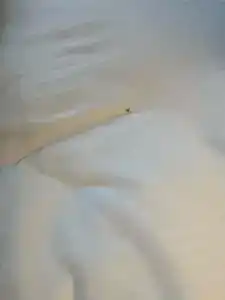 DoubleTree by Hilton - 47