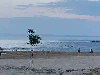 Primorskiy Bereg - 1