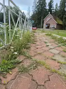 Lesnaya Skazka Restaurant-Complex - 79