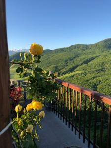 Lastiver Resort - 30