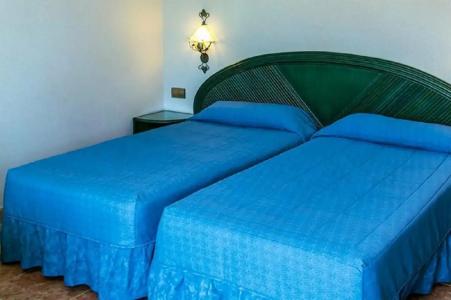 Kaktus Kaktus Albir - 7