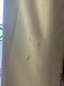 Камыши база отдыха - 39