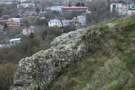 Таврия - 21