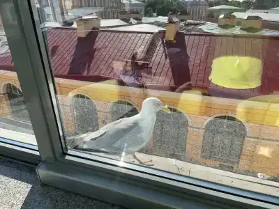 Три МостА - 95