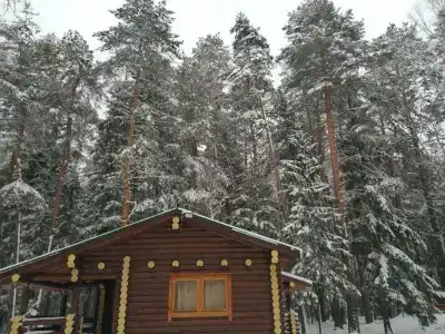 Gostevoj kompleks Tihij Les Recreation camp - 37