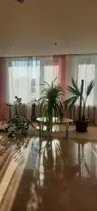 Юбилейный - 79