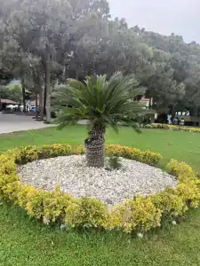 Champion Holiday Village - All Inclusive - 82