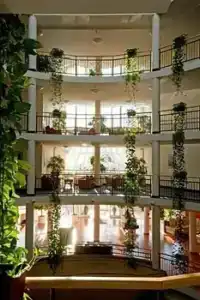 Lotus Therme & Spa - 3