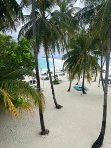 Finolhu Baa Atoll Maldives - 63