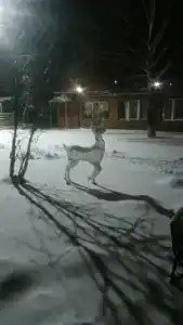 Park-otel Polskii Gorodok - 7