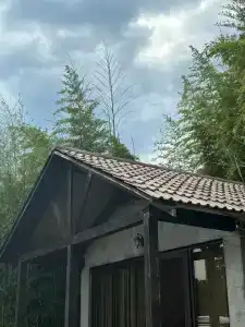 Akalam kantri klab - 10