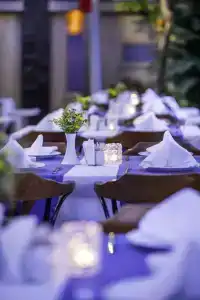 May Flower Apart - 37