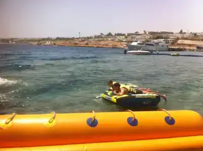 Shark Bay Oasis - 47