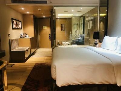 Radisson Blu Jaipur - 60