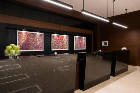 Radisson Blu Ankara Cankaya - 51