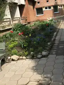 Dom tvorchestva imeni D.N. Kardovskogo - 21