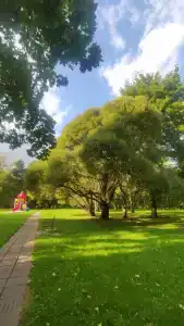 Nagornoe Holiday Home - 45