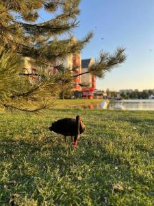 Muller Bach Apart-Hotel - 46