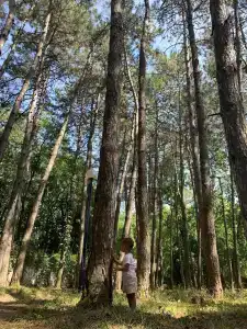 Sanatorii Lesnoi - 15