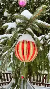 Gostinechniy Kompleks Lyubim - 45