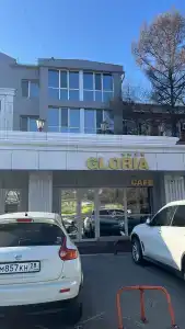 Gloria Business - 10