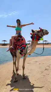 Sunrise Alma Bay Resort - 38