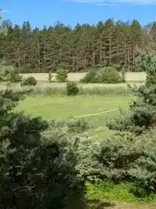 Guest house Lesnoy Edem - 20