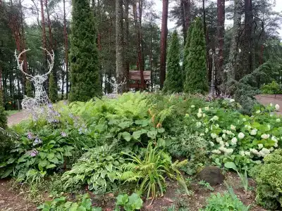 Narochanka Sanatorium - 20