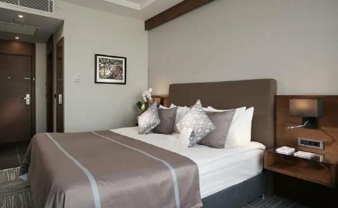 Radisson Blu Ankara Cankaya - 25