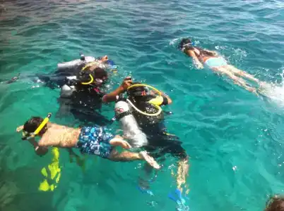 Shark Bay Oasis - 19