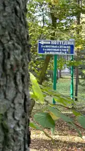 Solontsovo - 95
