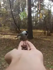 Kurort Angara Sanatorium - 35