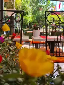 Hôtel West End - 19