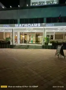 Magnoliya - 34