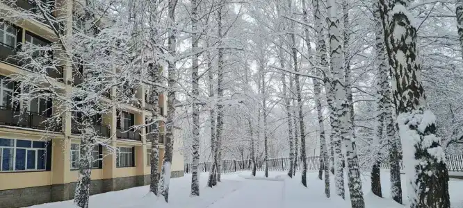 Sanatorium-profilaktoriy Zhemchuzhina - 15
