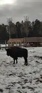 Complex Kamenyuky - 65